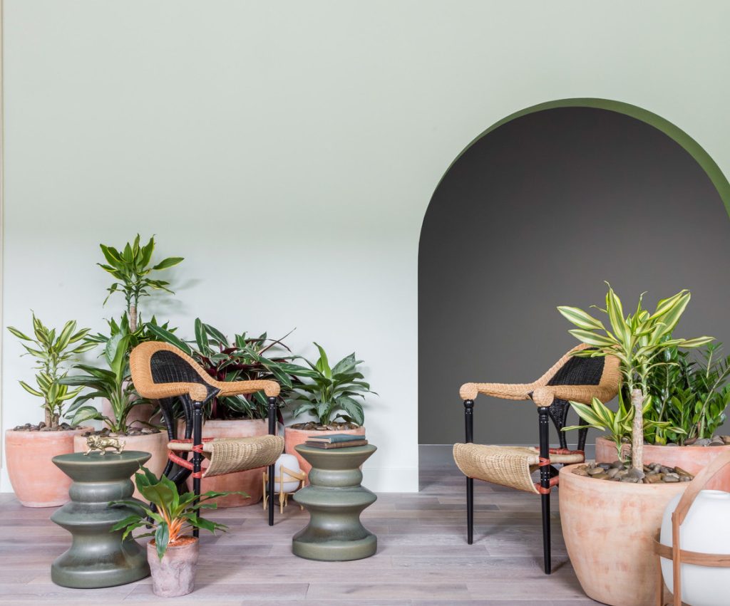 Cómo decorar tu casa de forma sencilla y efectiva: 10 consejos infalibles 8 Inspiración plantas decoración primavera
