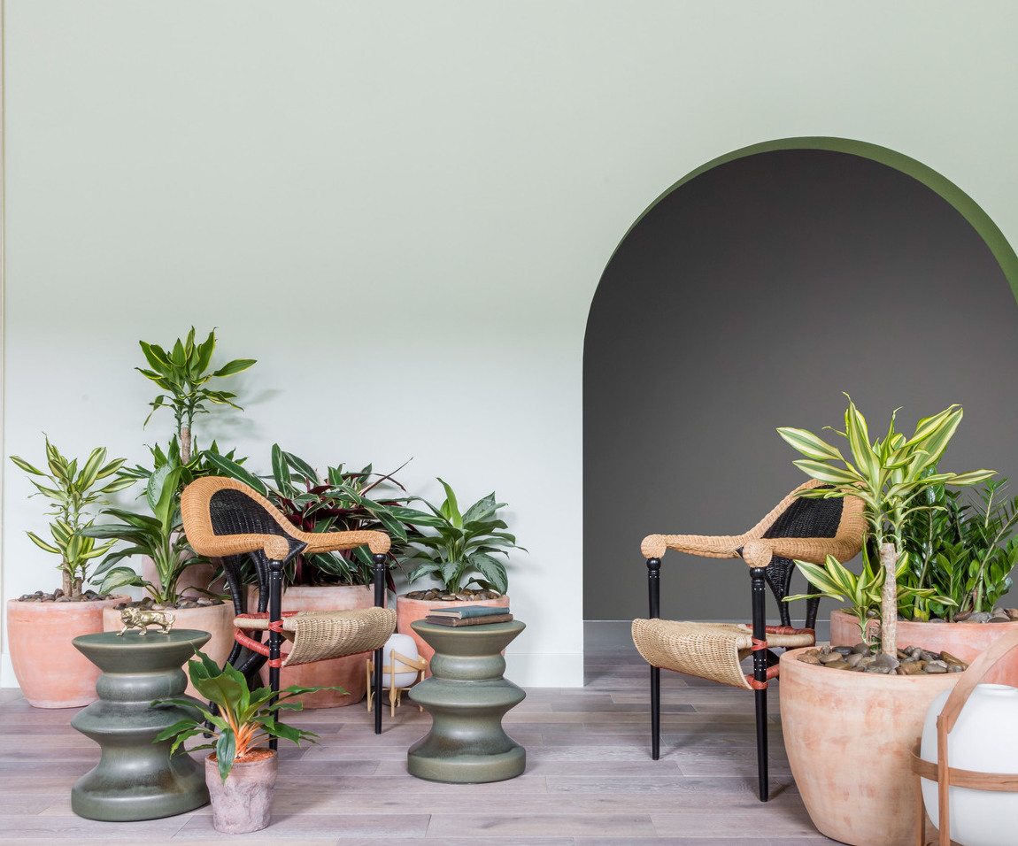 Inspiración plantas decoración primavera